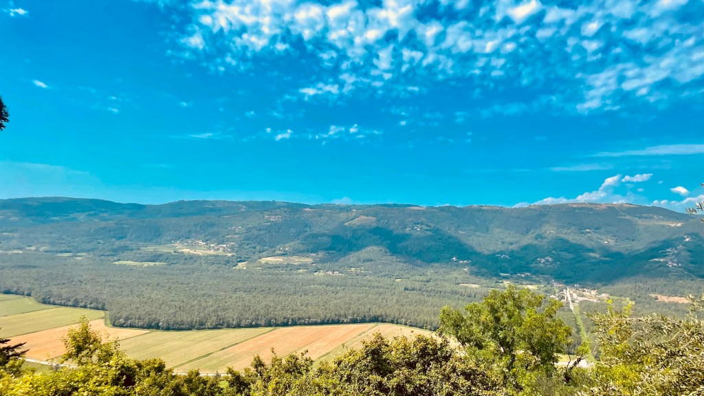 From Croatia, to America, and&nbsp;Back