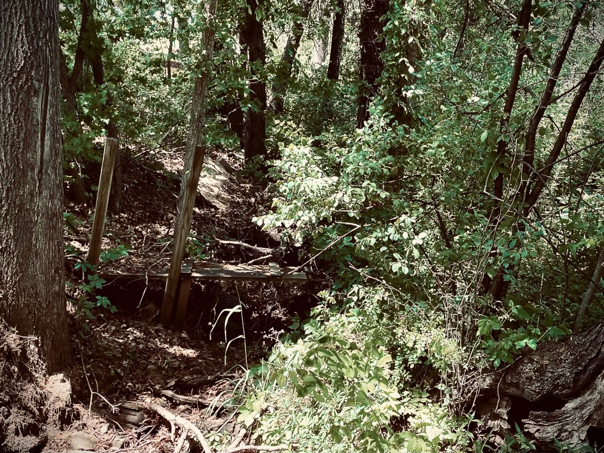 The Back Ditch: Where Anything is&nbsp;Possible